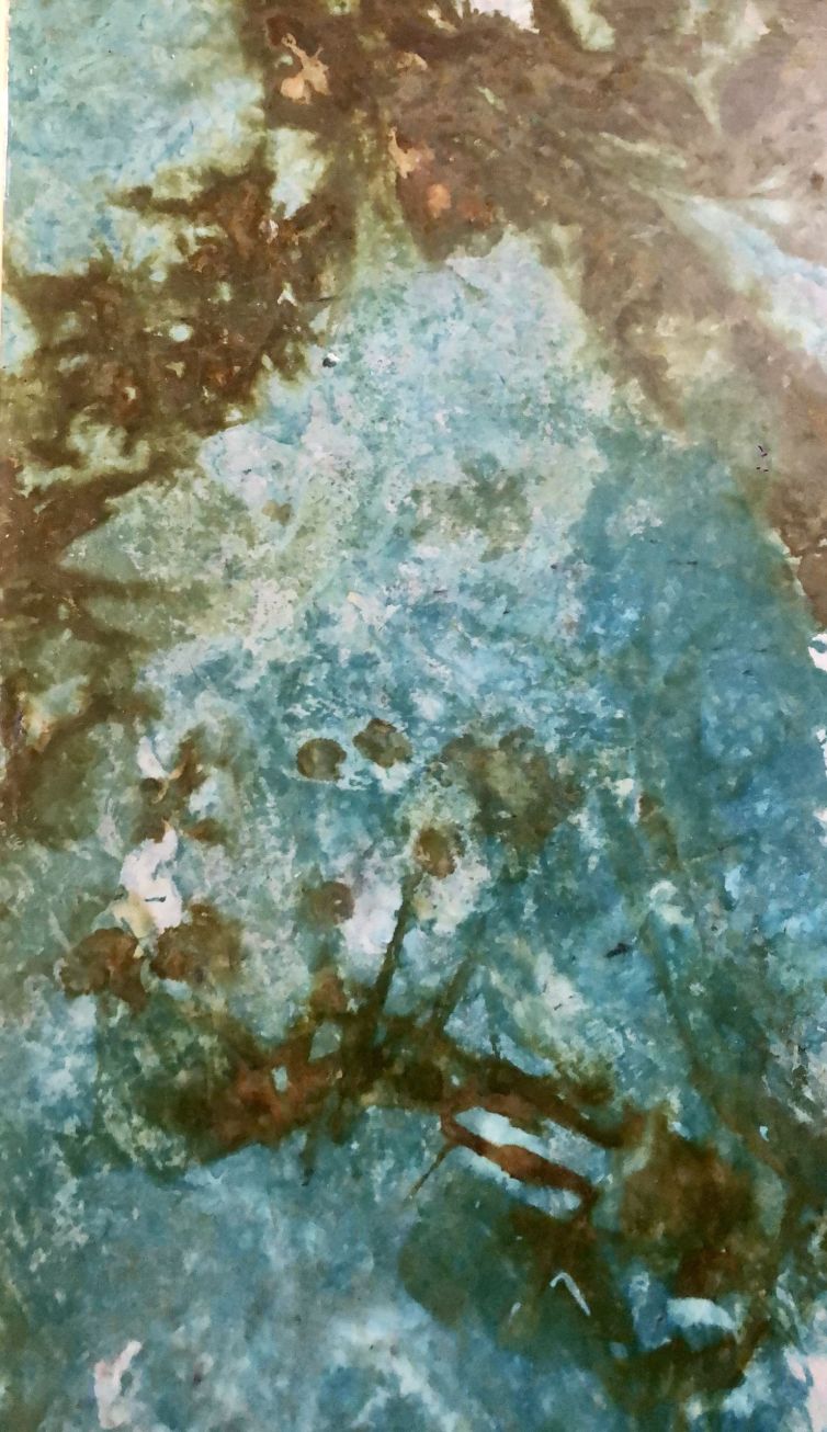 61A8B954-585D-4867-96A4-B84981925592